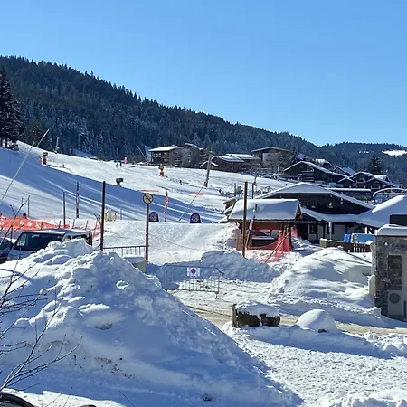 Cosy Aux Gets Avec Parking Privatif - Fr-1-671-279 Les Gets